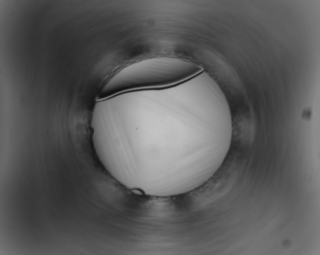 X0000103320280200809261144