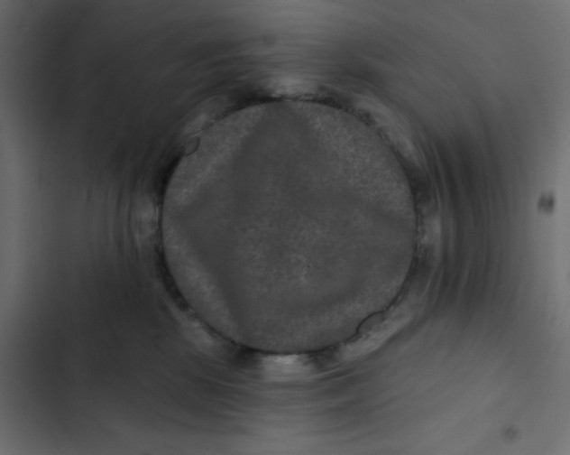 X0000103320281200809261144