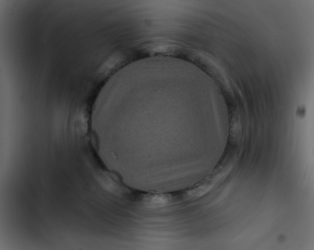 X0000103320282200809261144