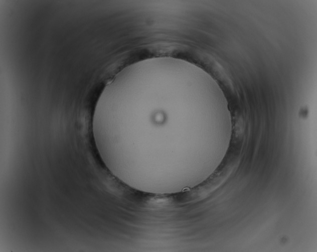 X0000103320283200809261144