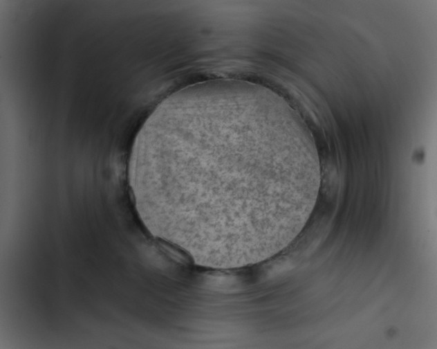 X0000103320284200809261144