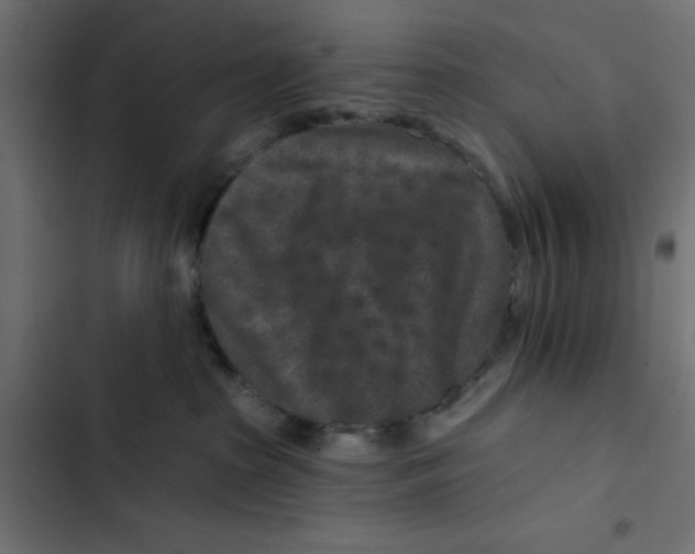 X0000103320285200809261144