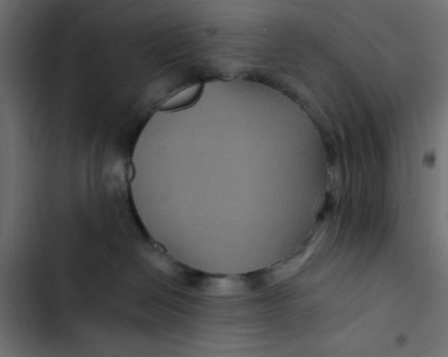 X0000103320286200809261144