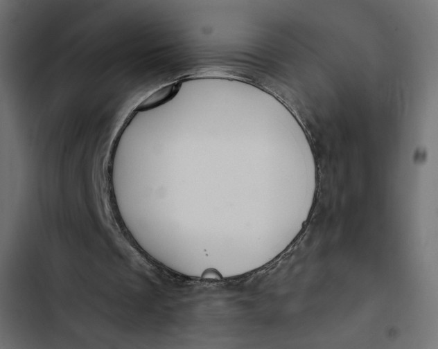 X0000103320289200809261143