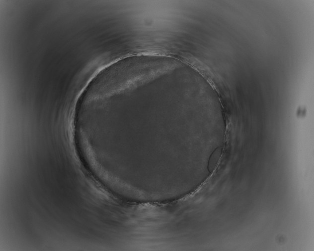 X0000103320290200809261143