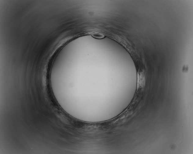 X0000103320291200809261143