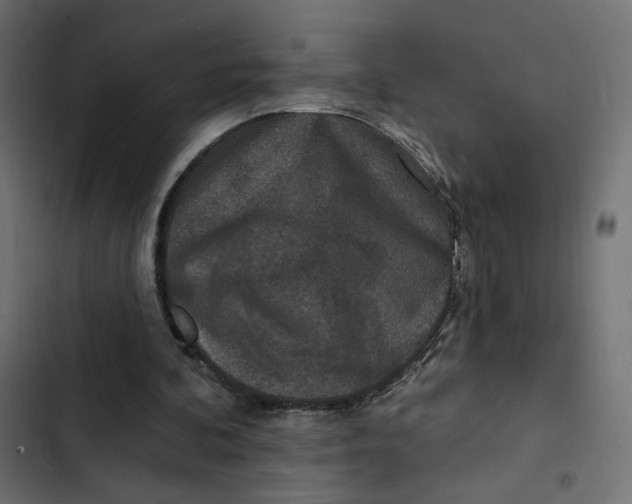 X0000103320292200809261143