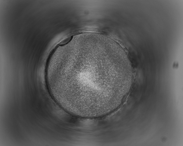 X0000103320293200809261143