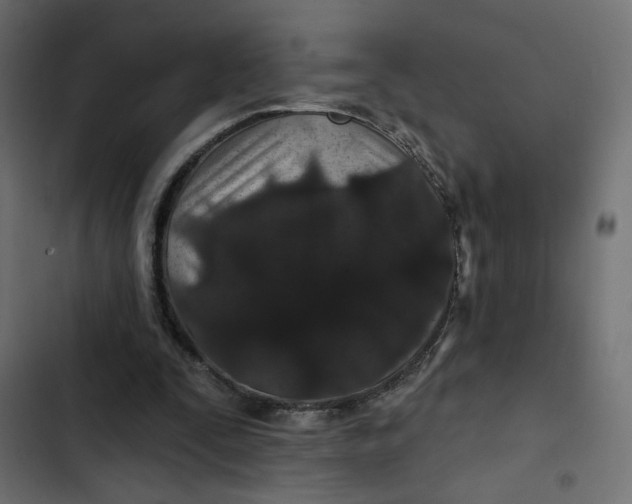 X0000103320295200809261143