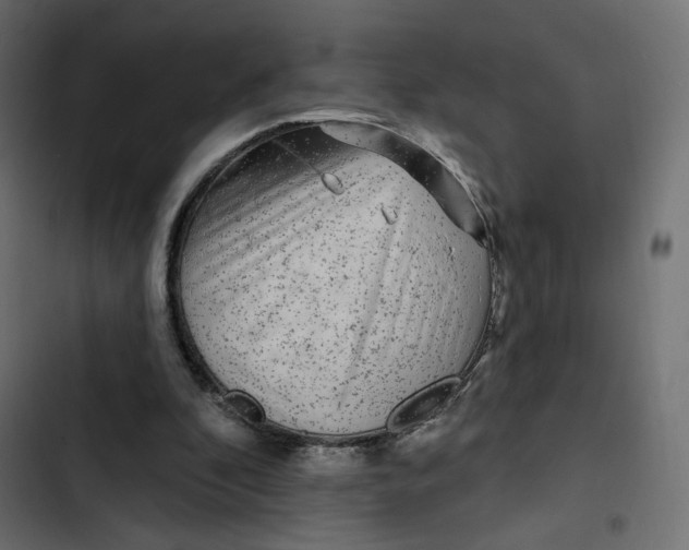 X0000103320296200809261143