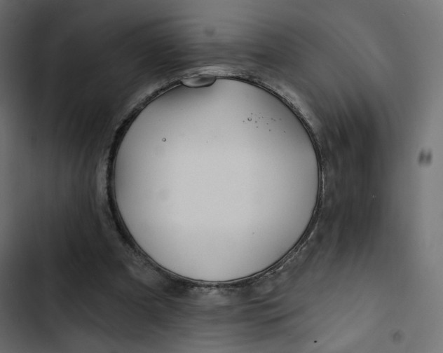 X0000103320297200809261143