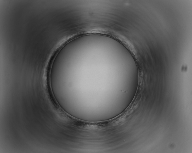 X0000103320298200809261143