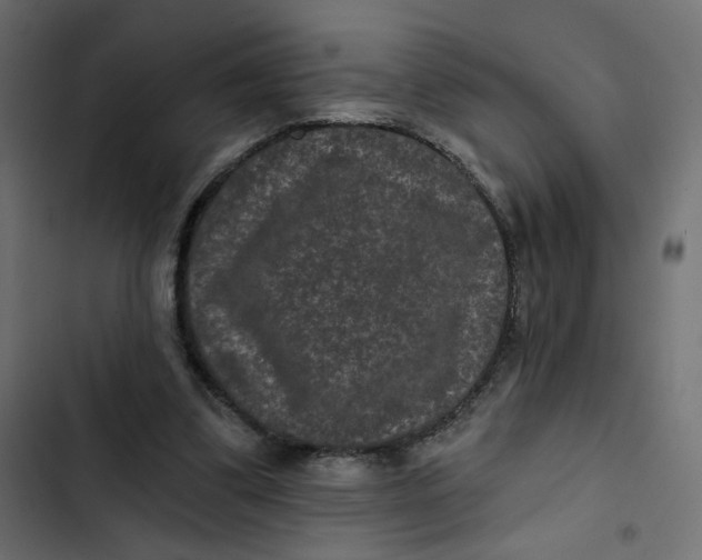 X0000103320299200809261143