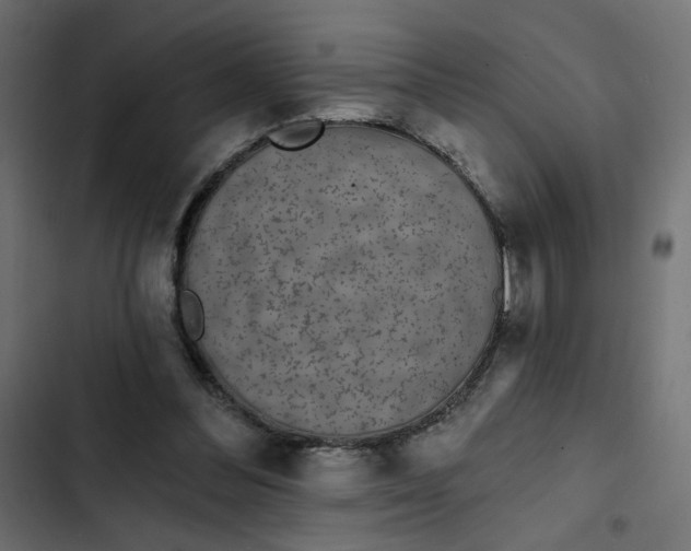 X0000103320300200809261143