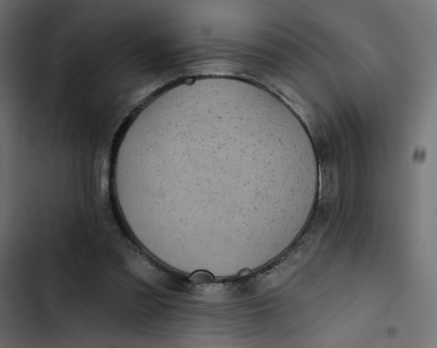 X0000103320301200809261143