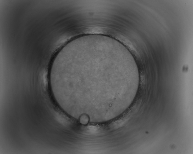 X0000103320302200809261143