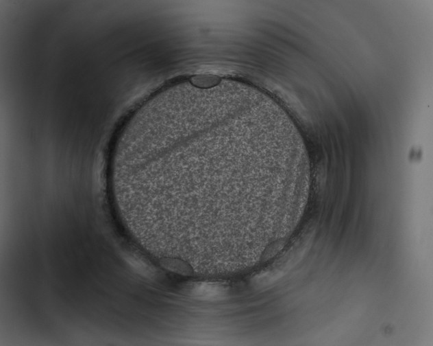 X0000103320303200809261143