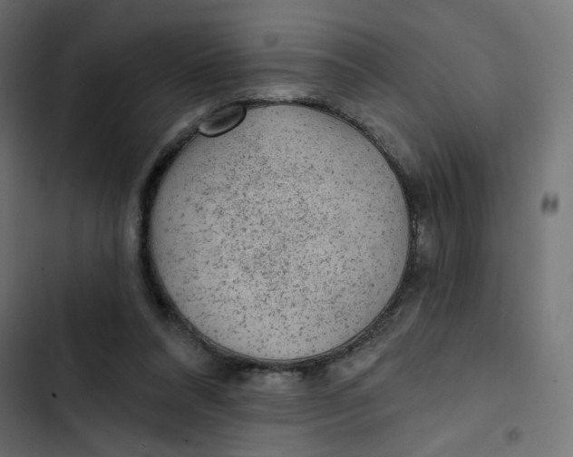 X0000103320304200809261143