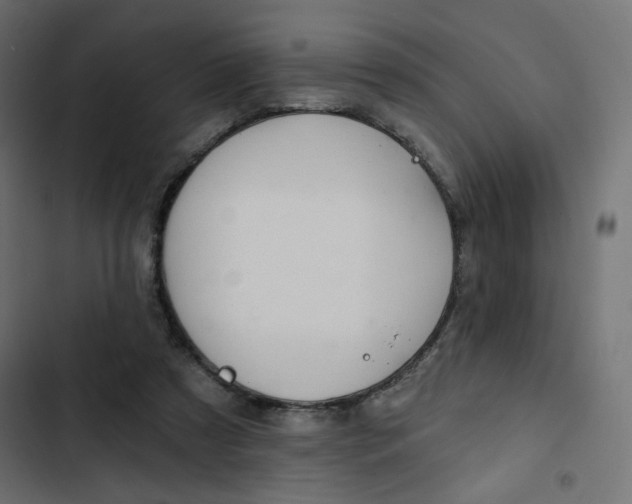 X0000103320305200809261143