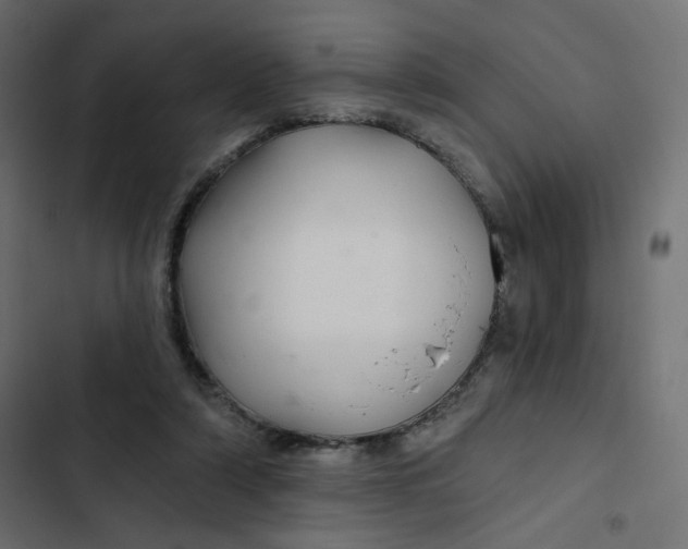 X0000103320306200809261143