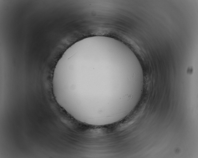 X0000103320307200809261143