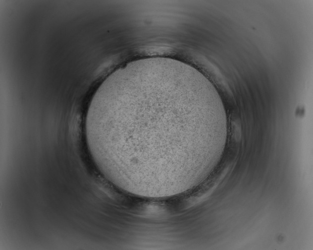 X0000103320308200809261143