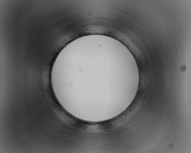 X0000103320309200809261143