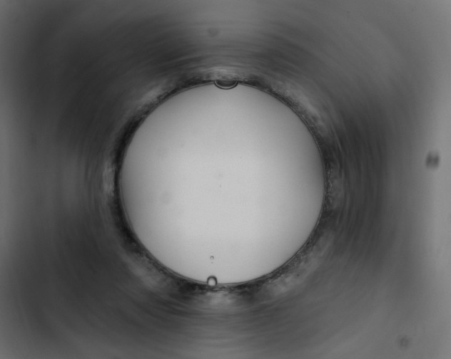 X0000103320310200809261143