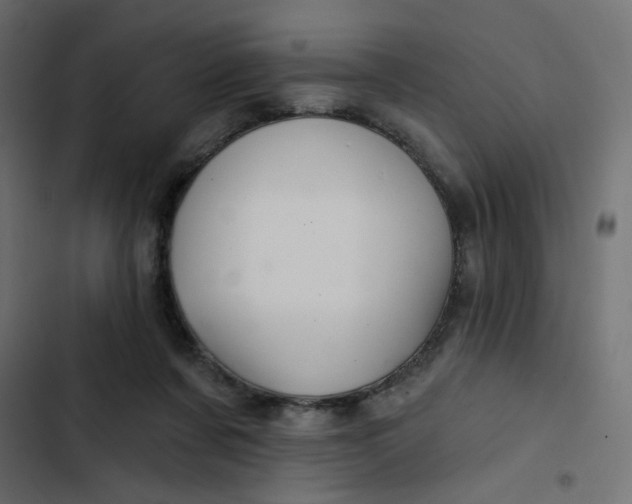 X0000103320311200809261143