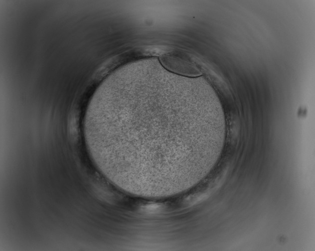 X0000103320312200809261143