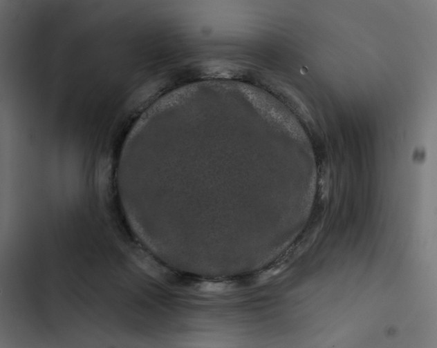 X0000103320314200809261143