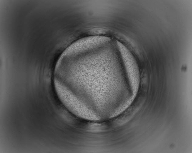 X0000103320315200809261143