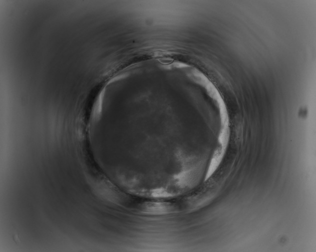 X0000103320316200809261143