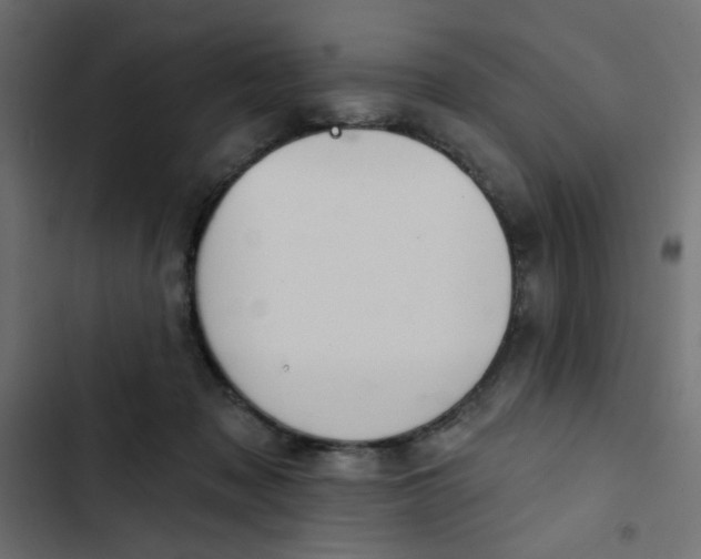 X0000103320317200809261143