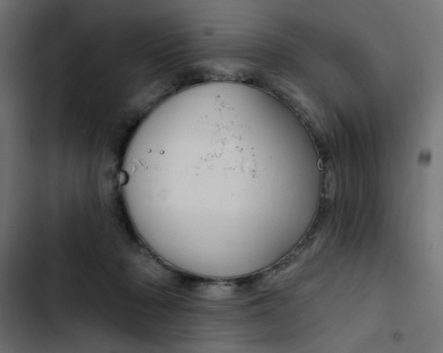 X0000103320318200809261143