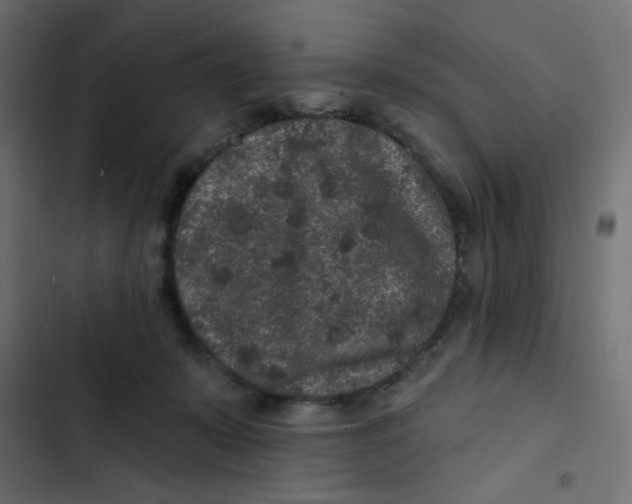 X0000103320319200809261143