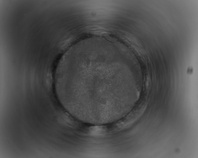 X0000103320320200809261143