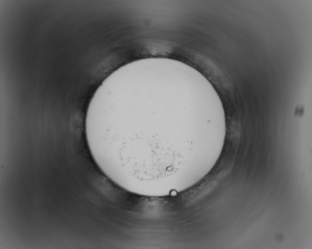 X0000103320321200809261143