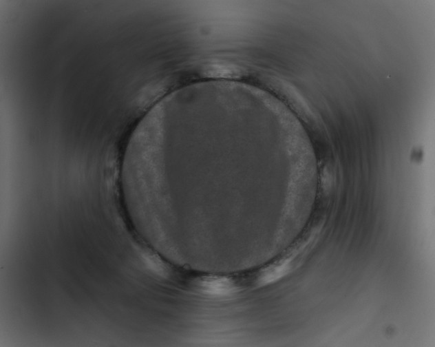 X0000103320322200809261143