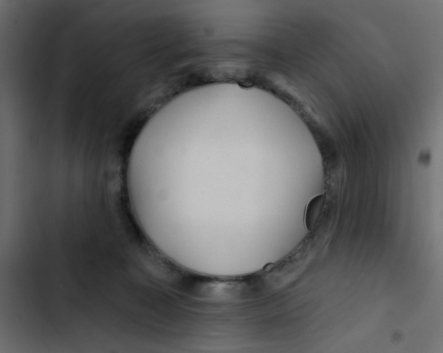 X0000103320323200809261143