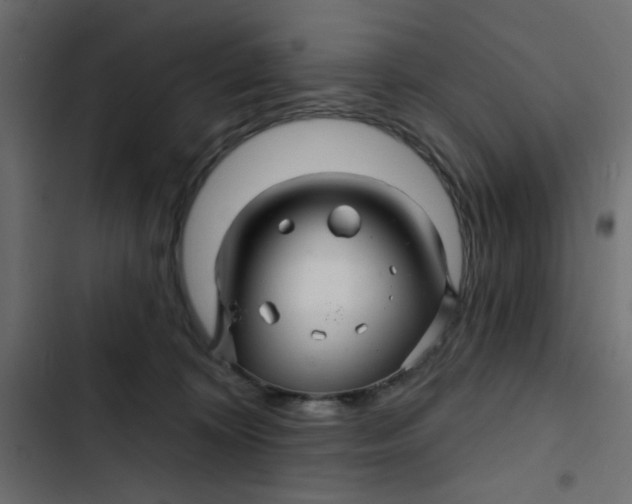 X0000103320324200809261143