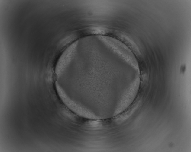 X0000103320325200809261143