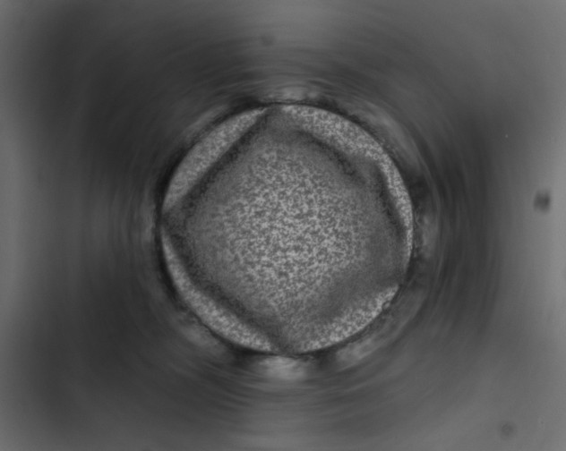 X0000103320326200809261143