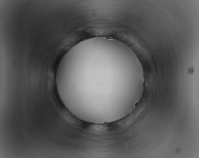 X0000103320327200809261143