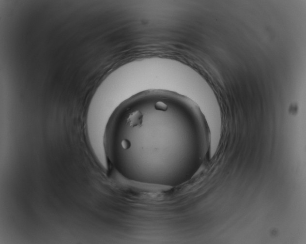 X0000103320328200809261143