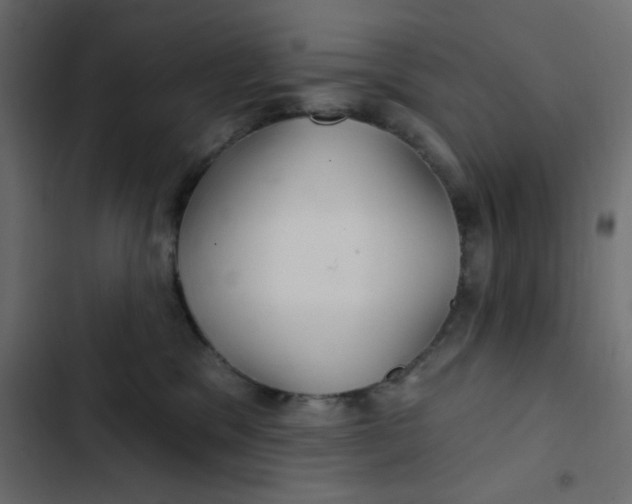 X0000103320329200809261143