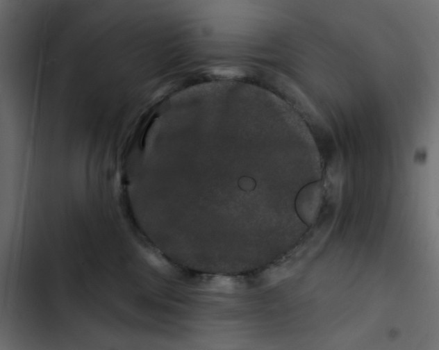 X0000103320330200809261142