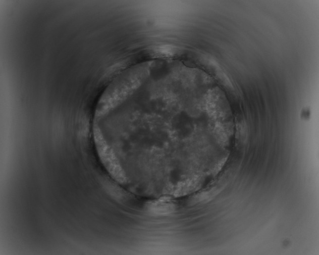 X0000103320331200809261142