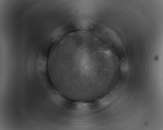 X0000103320332200809261142