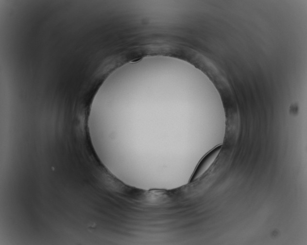 X0000103320333200809261142